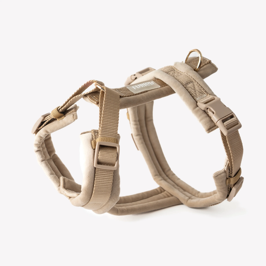 Sand Velvet Dog Harness