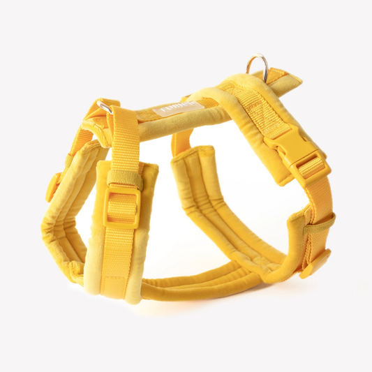 Yellow Velvet Dog Harness