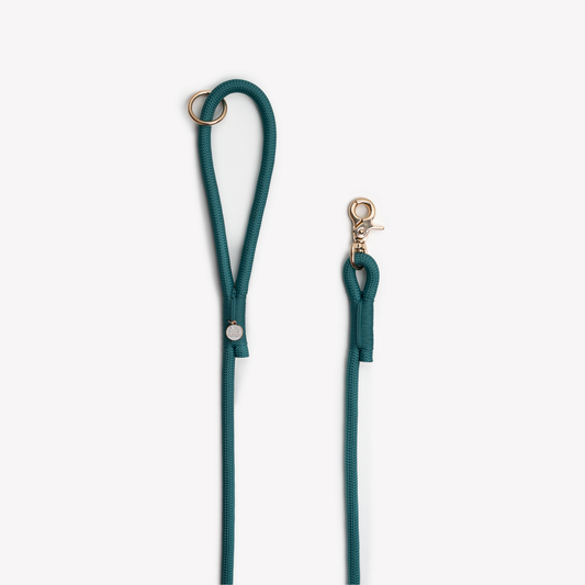 Blue Teal Braided Rope Leash