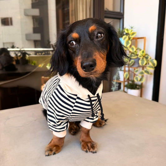 Nautical Hoodie