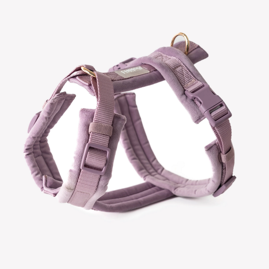 Lilac Velvet Dog Harness
