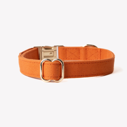 Terracotta Dog Collar