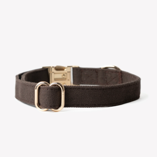 Brown Dog Collar