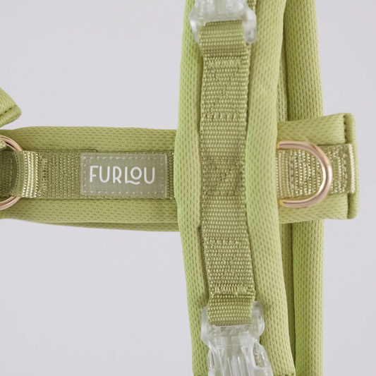 Lime Green Comfort Dog Harness