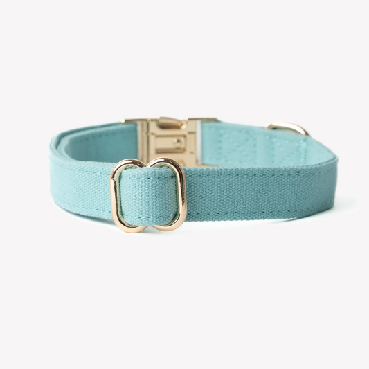 Aqua Blue Dog Collar