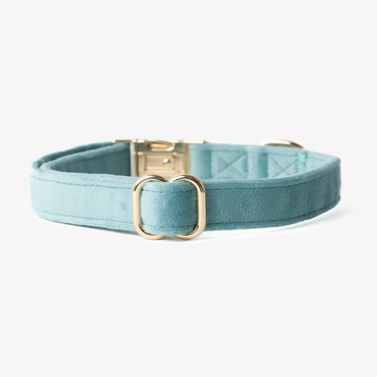 Aqua Blue Velvet Dog Collar