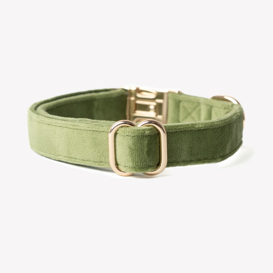 Green Velvet Dog Collar