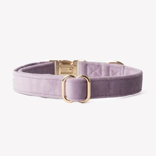 Lilac Velvet Dog Collar