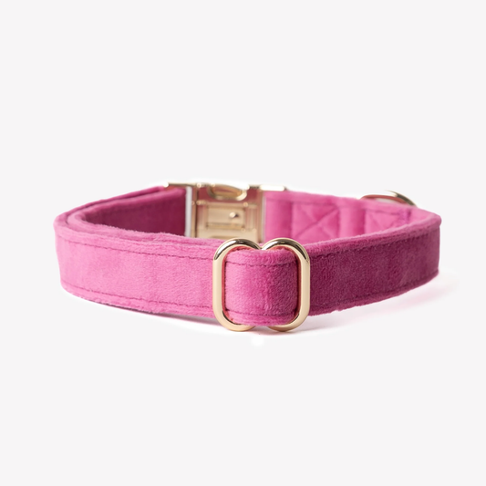 Magenta Velvet Dog Collar