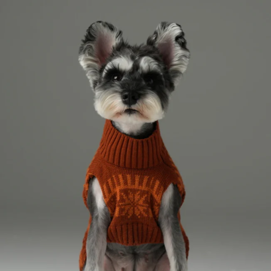 Pretzel Pet Sweater Tofee Orange