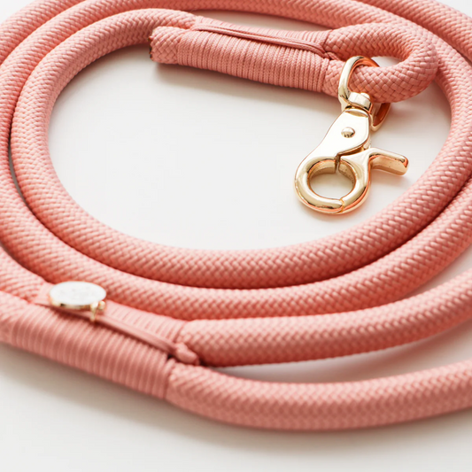 Rose Braided Rope Leash