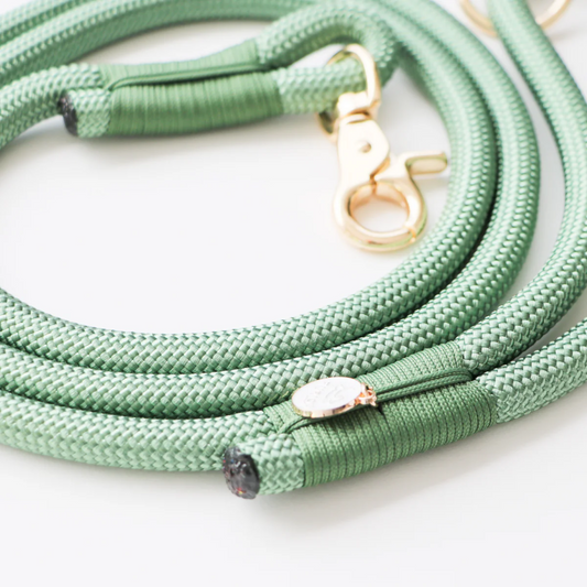 Sage Green Braided Rope Leash