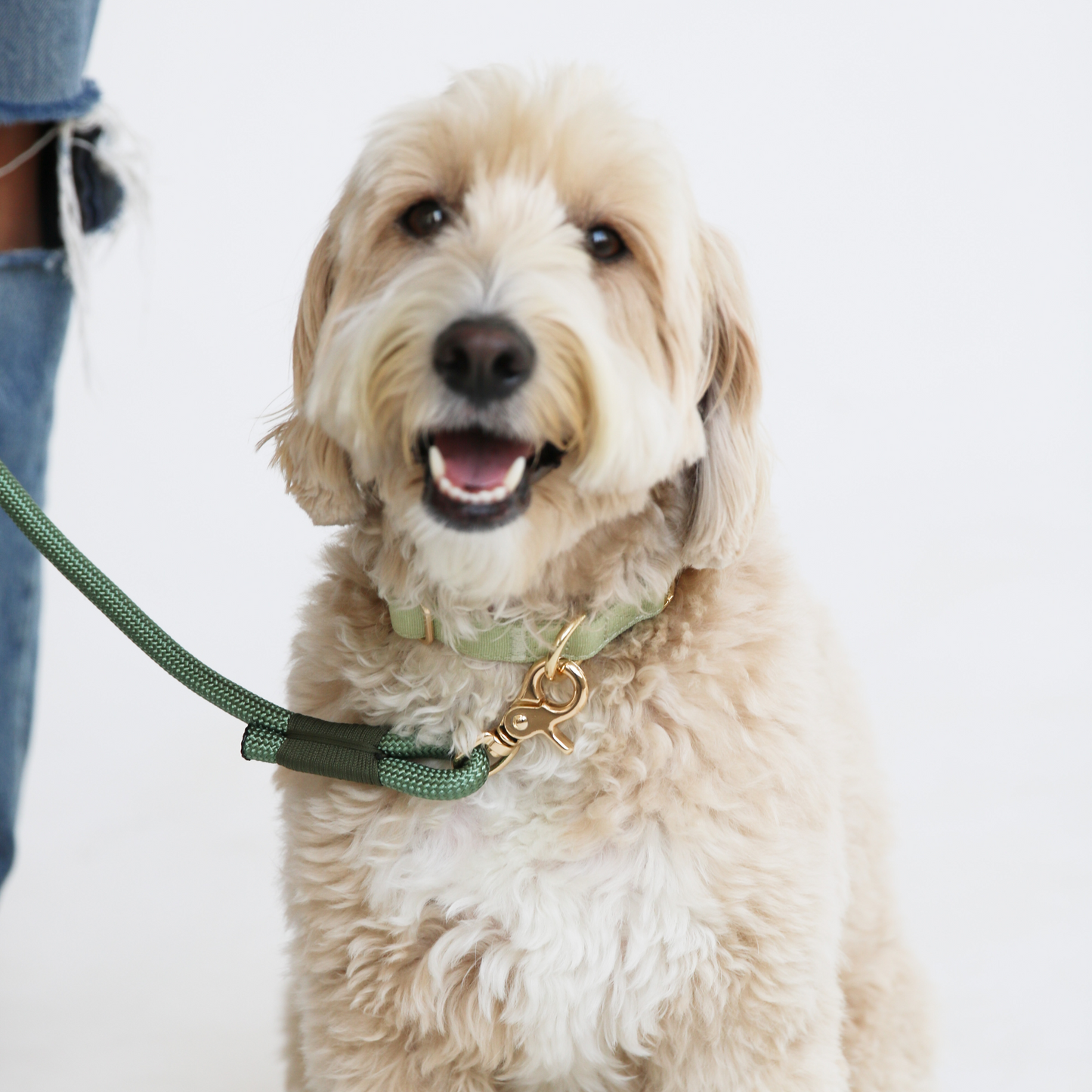 Sage Green Braided Rope Leash