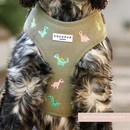 Dino Doodles Adjustable Neck Harness