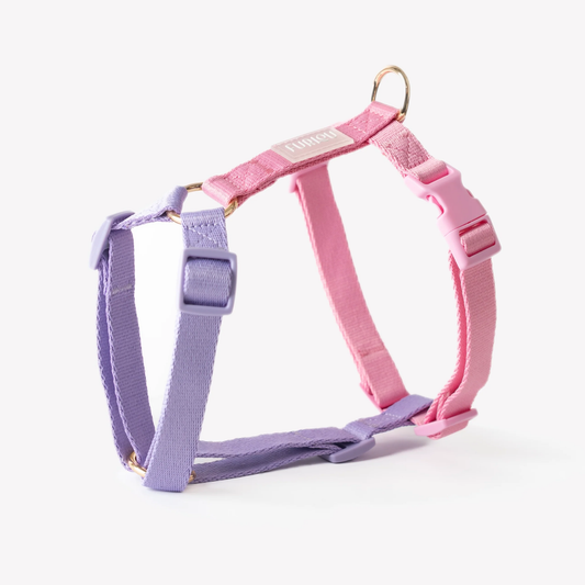 Lavender and Pink Dog Harness