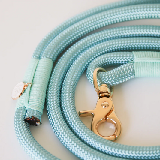 Aqua Braided Rope Leash