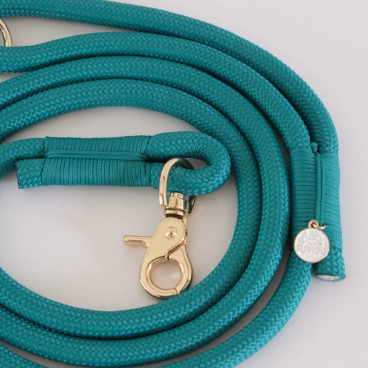 Teal Braided Rope Leash