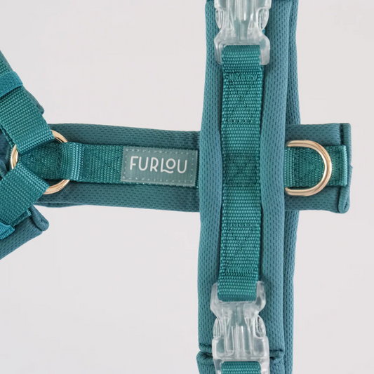 Teal Comfort Dog Harness