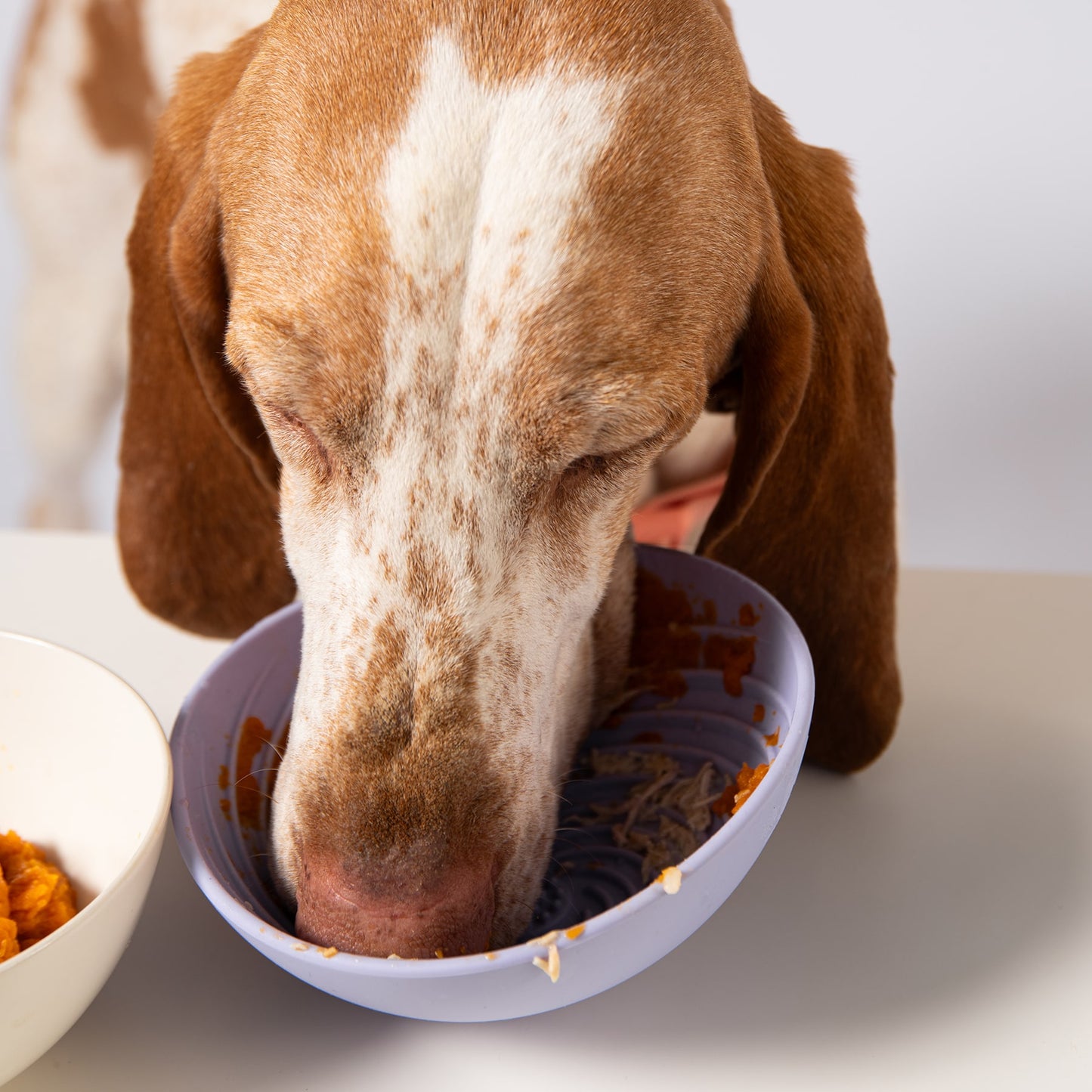 Wobbowl Lick & Slow Feeder Bowl