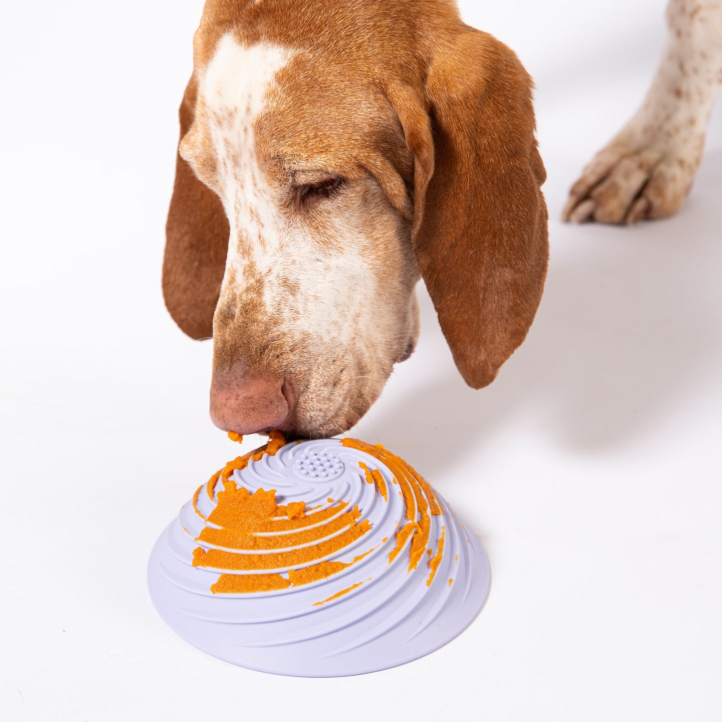 Wobbowl Lick & Slow Feeder Bowl