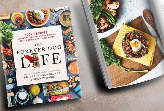 The Forever Dog Life