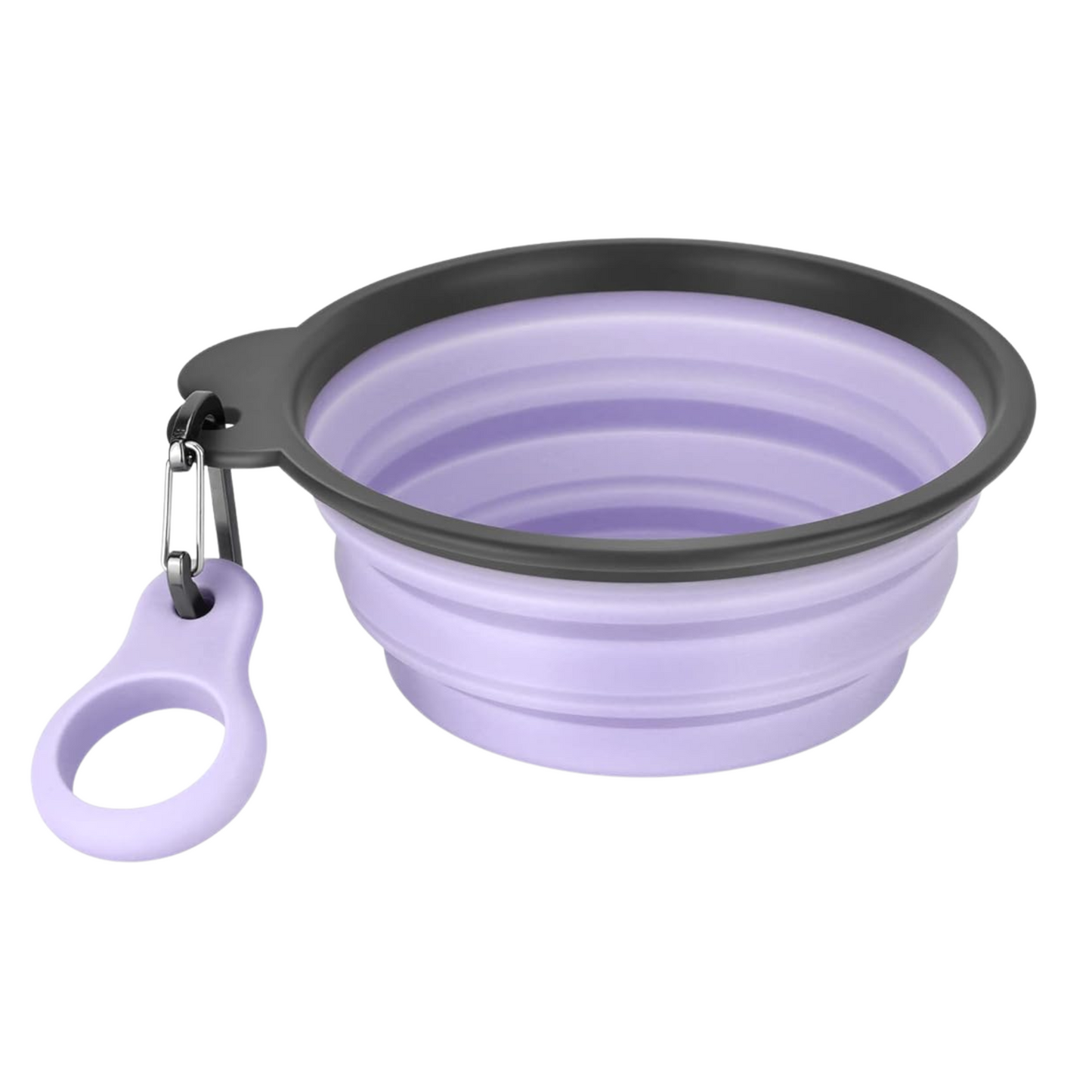 Collapsible Dog Bowls with Bottle Carrier