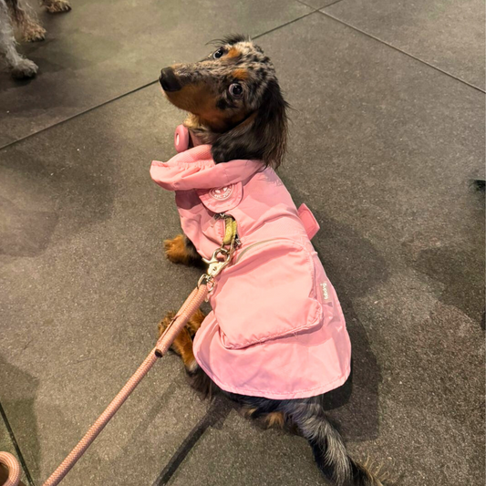 Dog Raincoat Pink