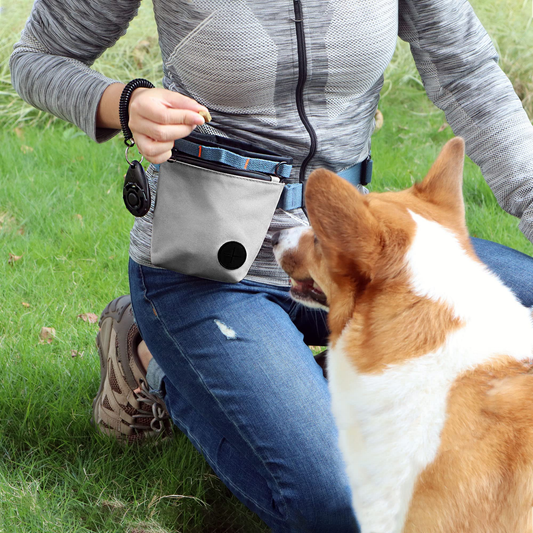 Dog Treat Pouch Grey