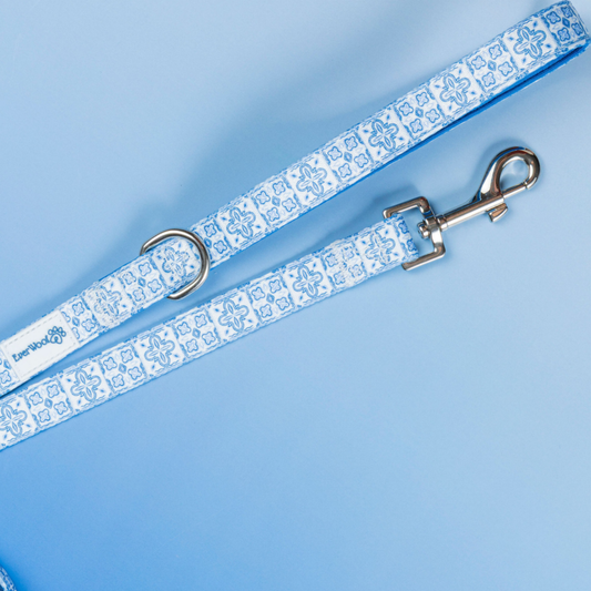 Santorini Leash