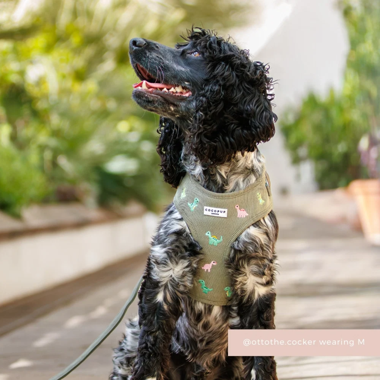 Dino Doodles Poop Bag Holder
