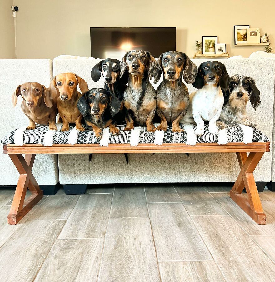 The Weens