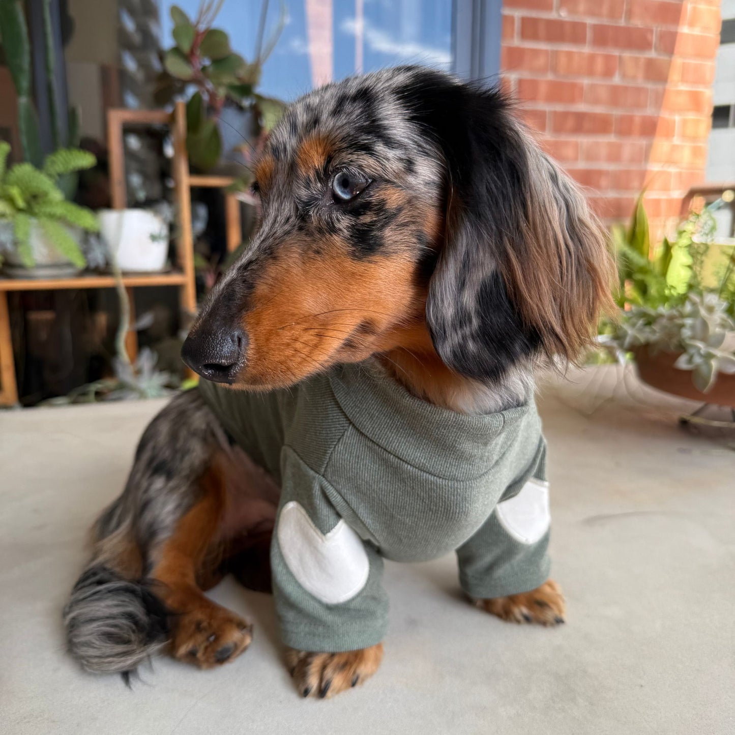 Sweetheart Sweatshirt Olive Green