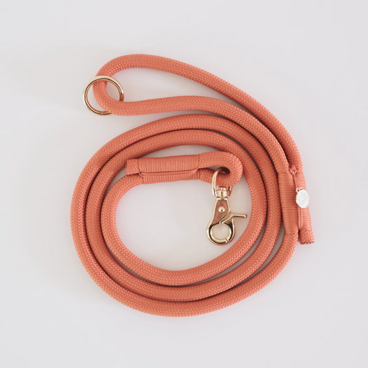 Terracotta Braided Rope Leash