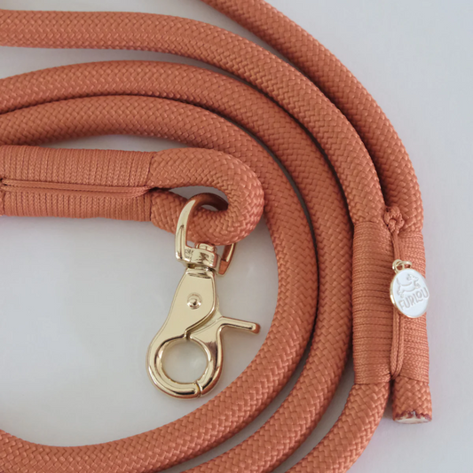Terracotta Braided Rope Leash