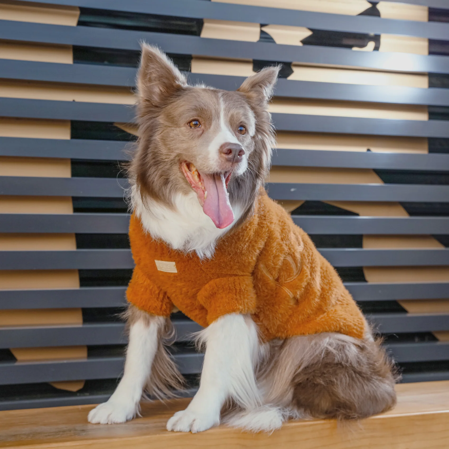 Eskimo Fuzzy Sweater Orange