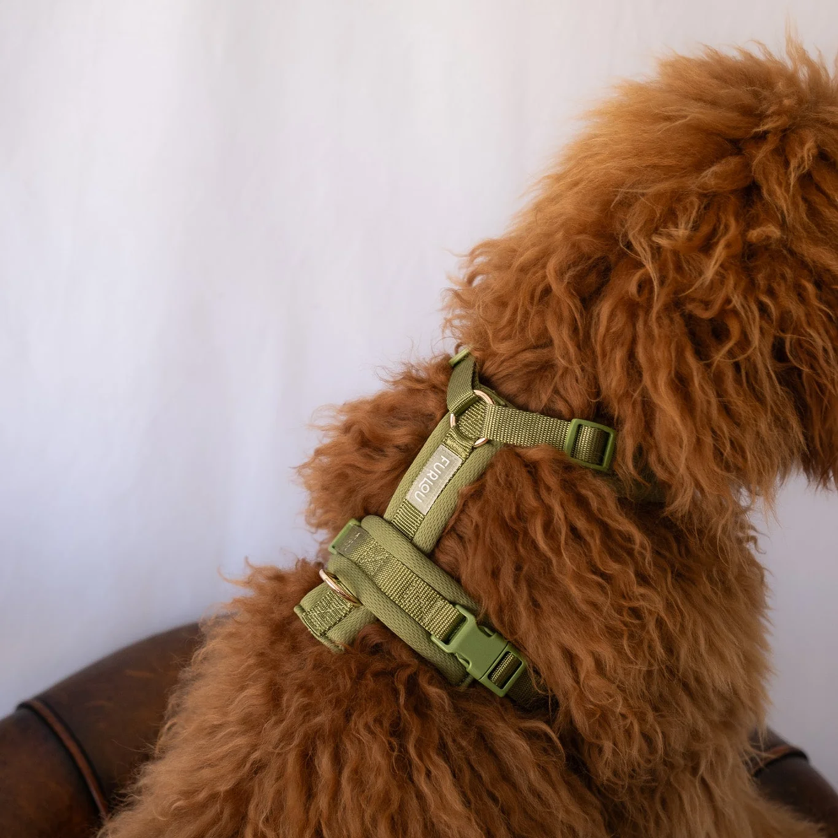 Green Comfort Dog Harness