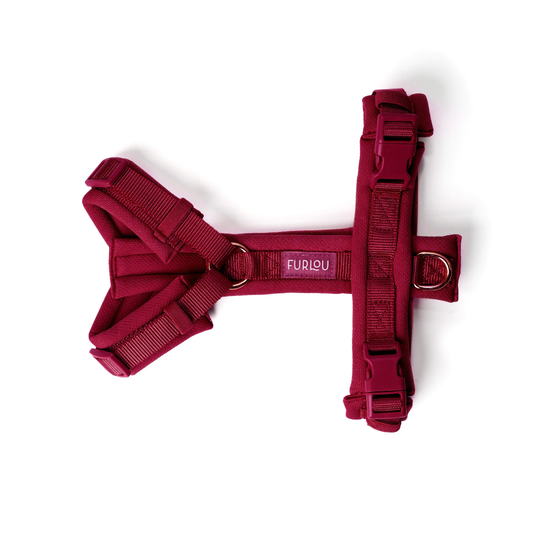 Bordeaux Comfort Dog Harness