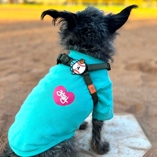 Baseball Dog Jiby