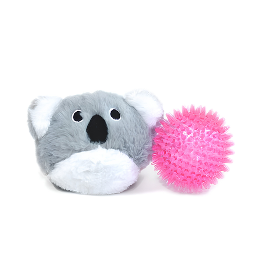 Pricklet Koala