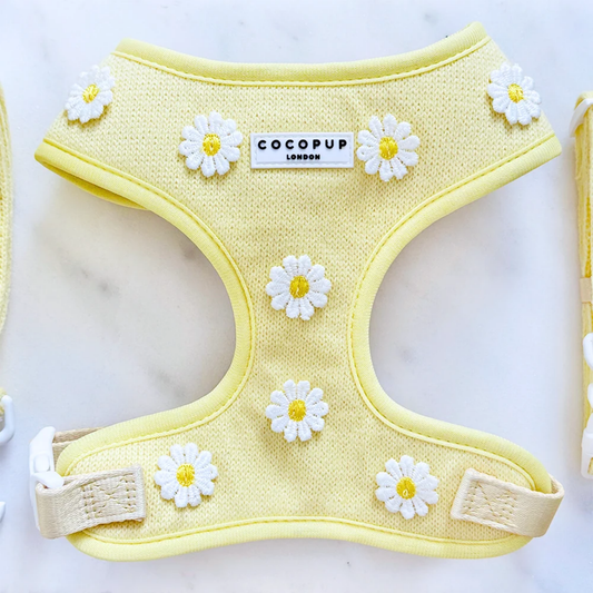 Buttercup Adjustable Harness
