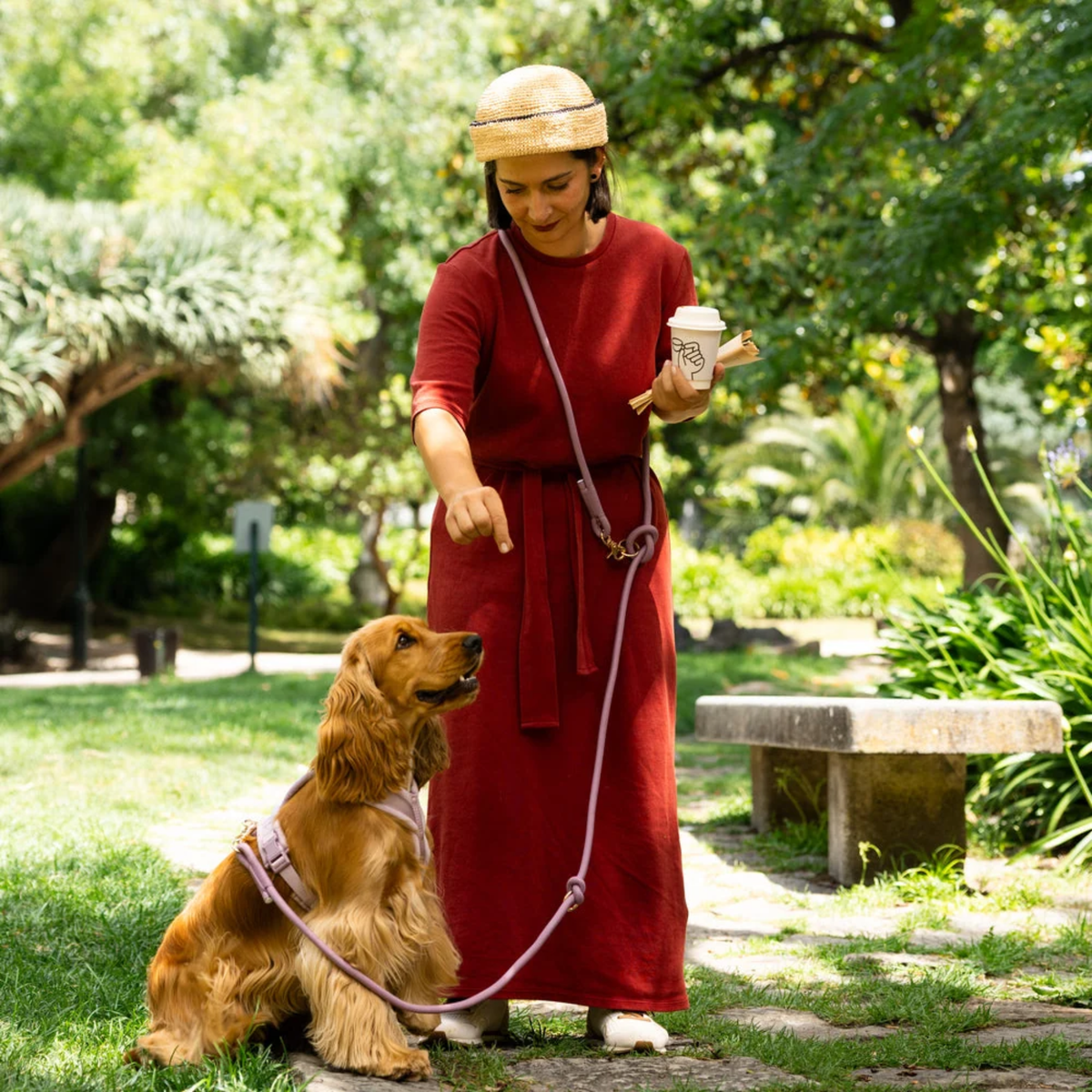 Bordeaux Hands Free Braided Leash