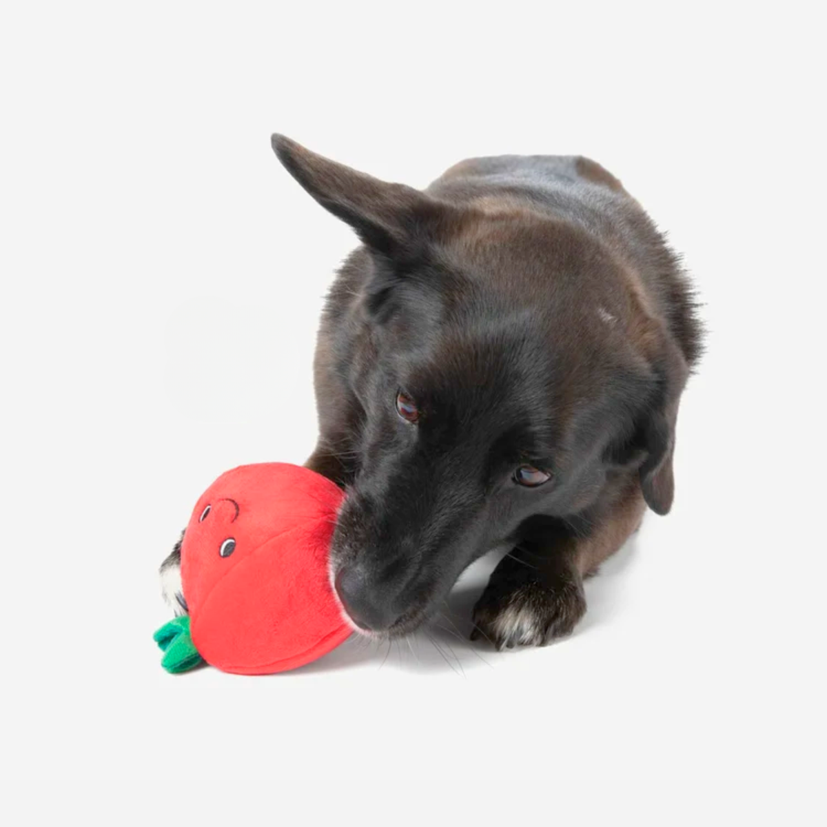 Prickles with Tomato and Mozzarella Cheese Ball