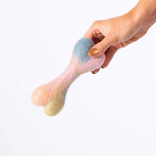 Bone Felt Toy