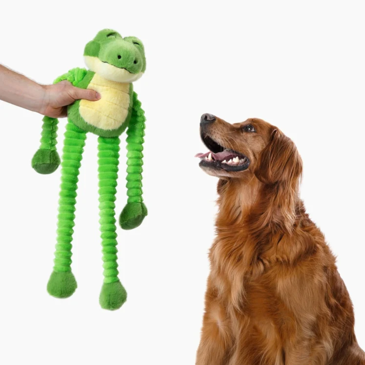 Alan Alligator
