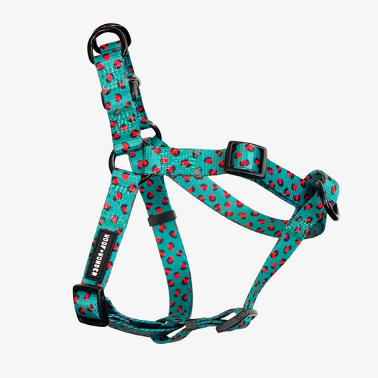 Into The Wild No Pull Step-In Harness