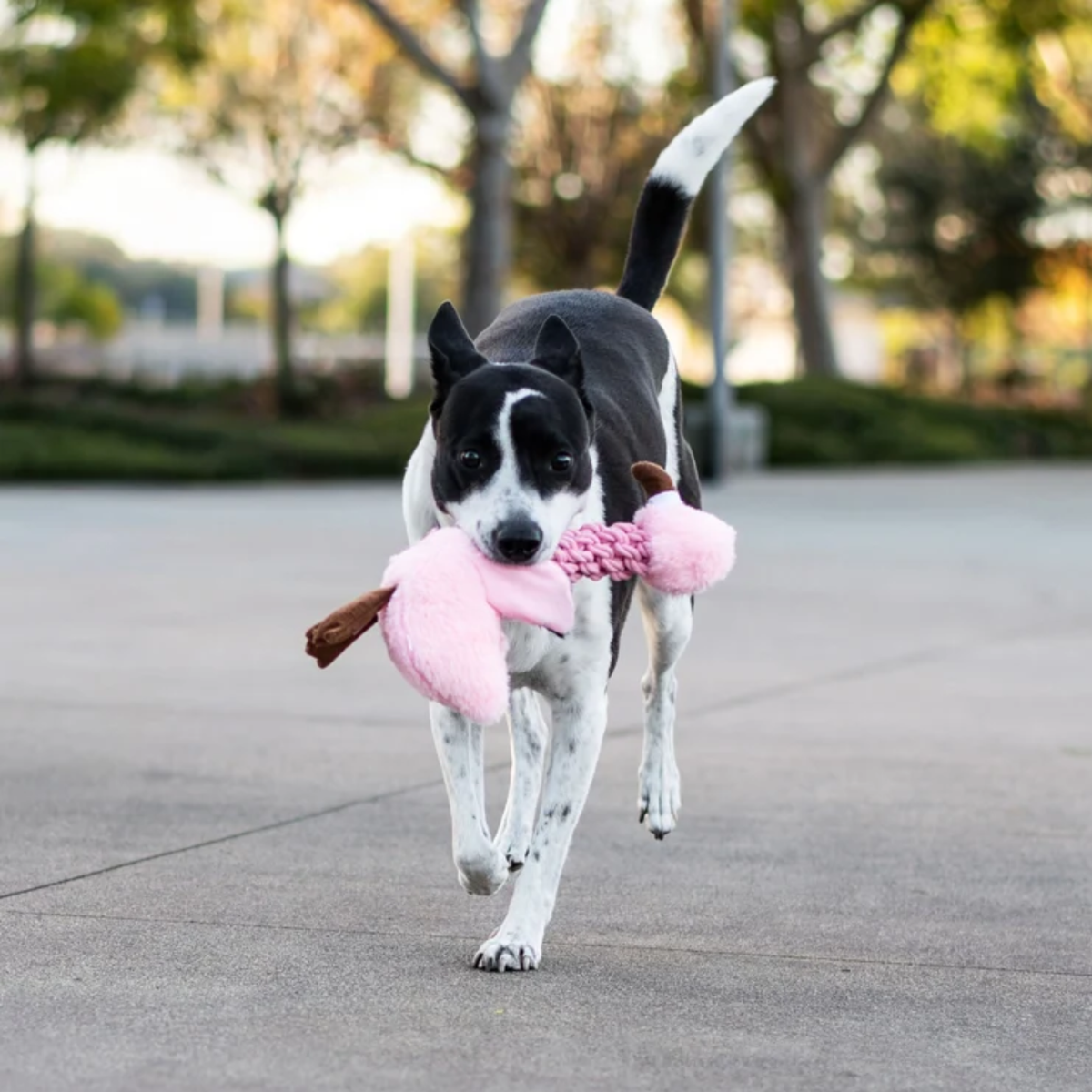 Tug and Toss Flamingo
