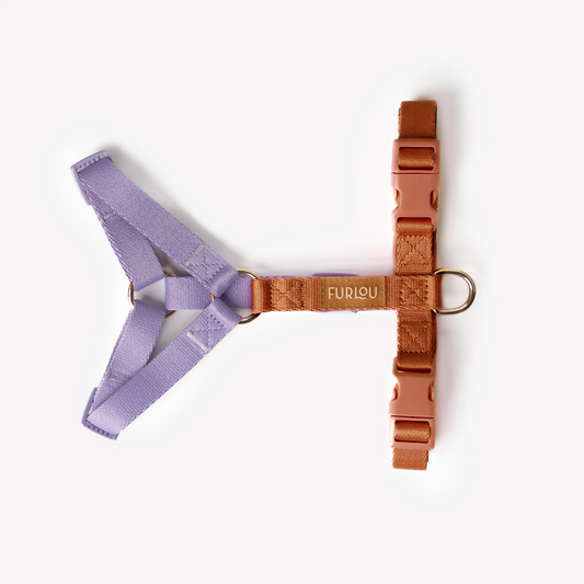 Lavender and Terracotta Dog Harness