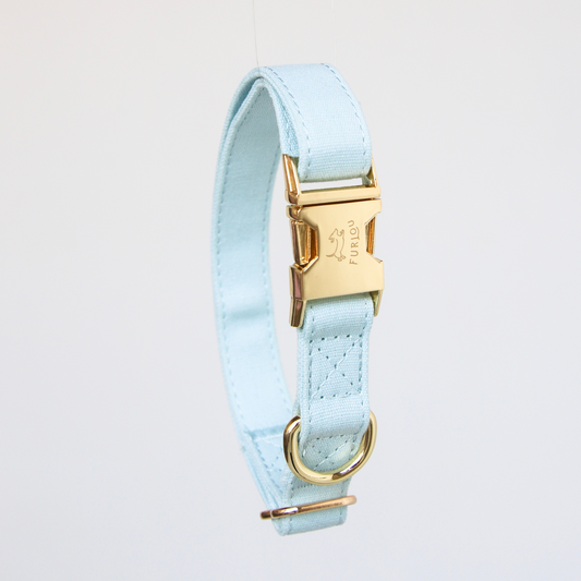 Baby Blue Dog Collar