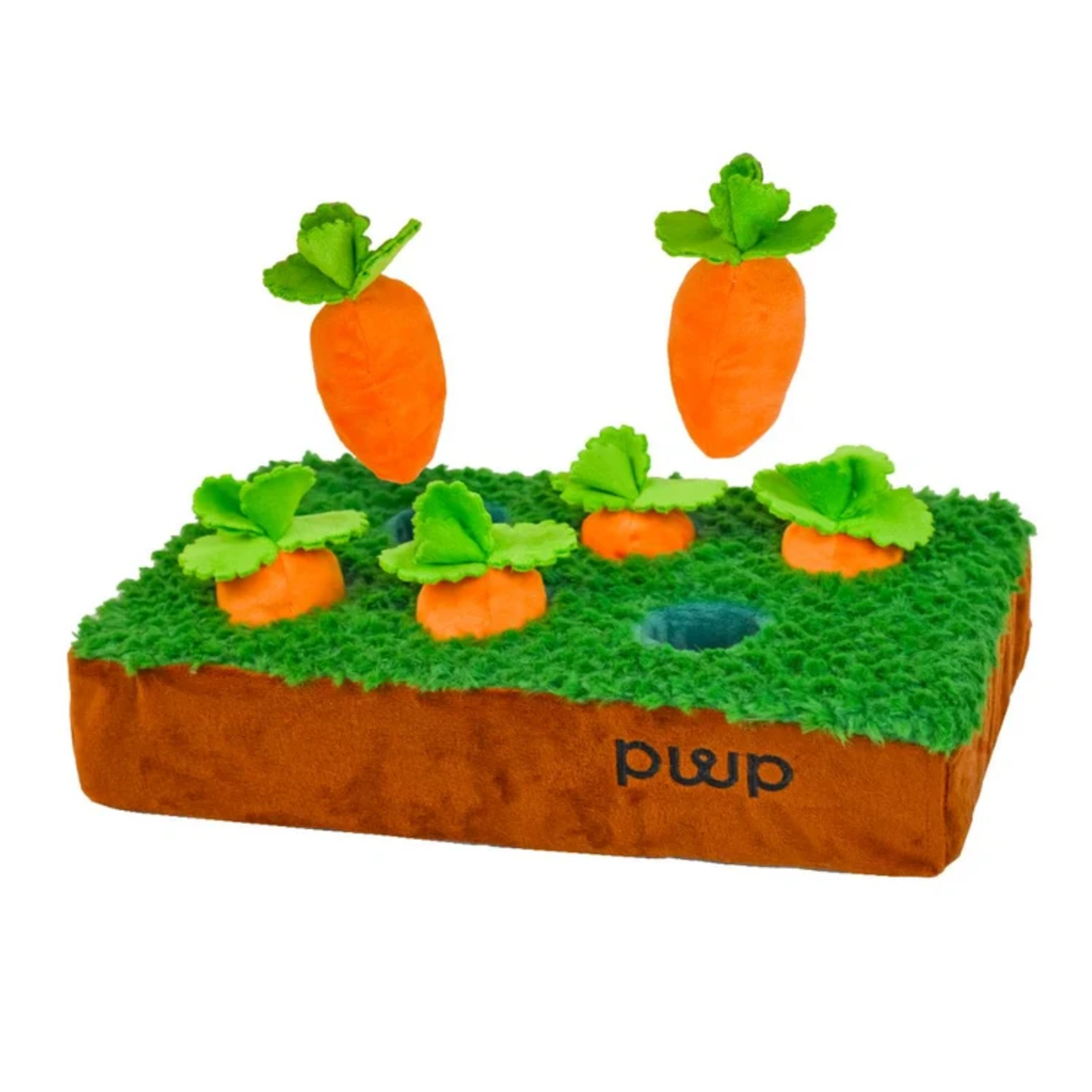 Carrots in The Garden