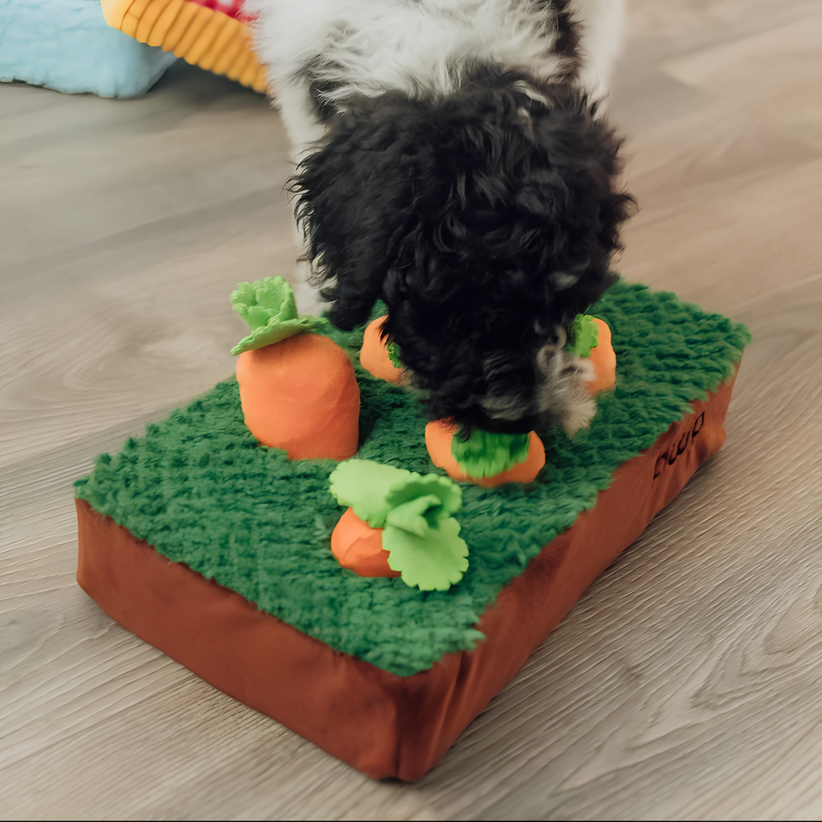 Carrots in The Garden